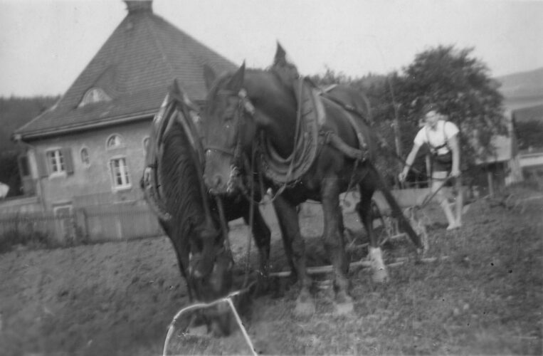 Ein Pferdegespann mit Pflug wird von einem jungen Mann barfuß geführt. Im Hintergrund das Haus Richter.